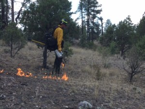 photo shows a firefighter igniting on the Area 74 Rx fire on the Black Range Ranger District