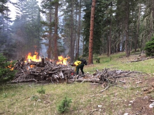 Cox Canyon - Rx Pile Burning - 06/26/16
