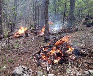 piles of slash burning