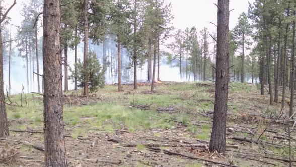 Big Hat Fire, June 27, 2016