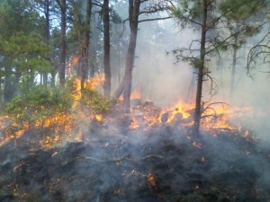 Favorable burning conditions on West Mountain. 