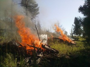 Ski Run Rd Rx Project - pile burning
