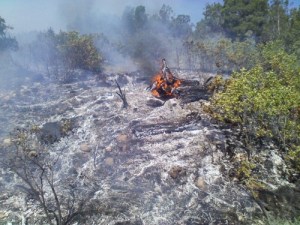 Coe Prescribed Fire - Excellent Fuel Consumption