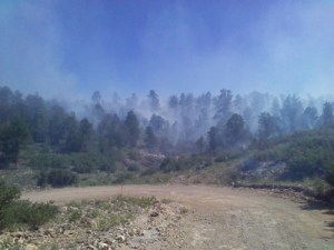 Light Smoke on Coe Prescribed Fire Project