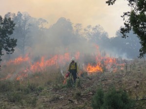 Prescribed Fire Operations on Sacramento Ranger District