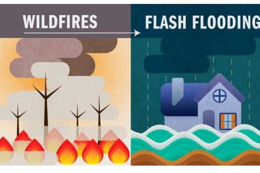 wildfiresinfographic2017b_2