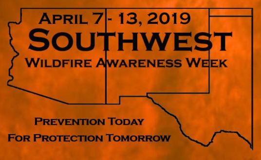 SWAW Logo.Draft 2019 Pic