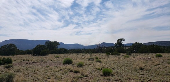 BlackFire190020190703