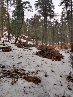 Hyde Park Burn Piles 2