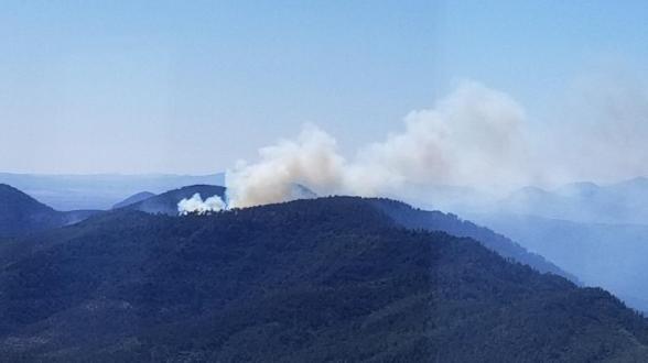 smoke_tadpolefire_20200606