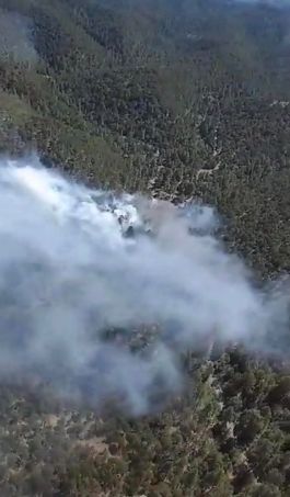 Smoke seen rising above the Tortolita Fire 6/7/20