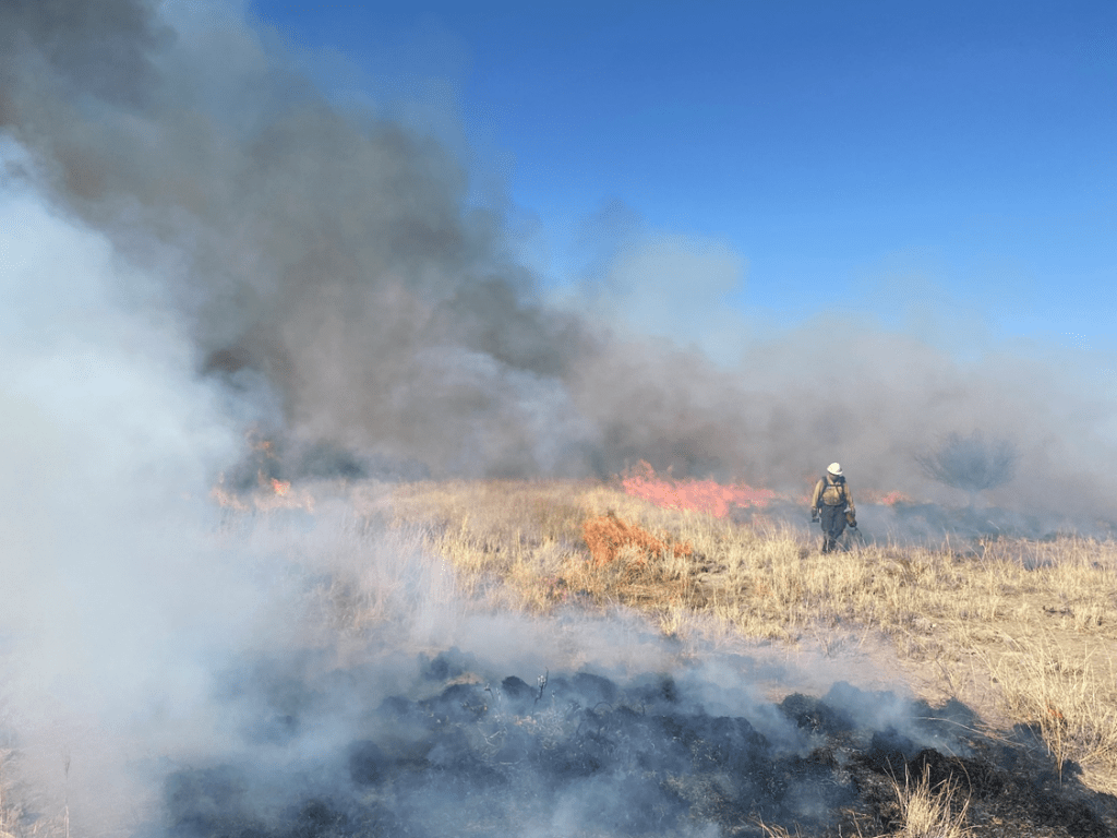 BLM fire crew member ignites prescribed fire.