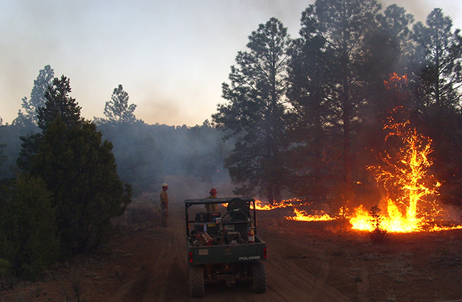Fire crew monitoring the Mertz Ranch Prescribed Fire on the Albuquerque District