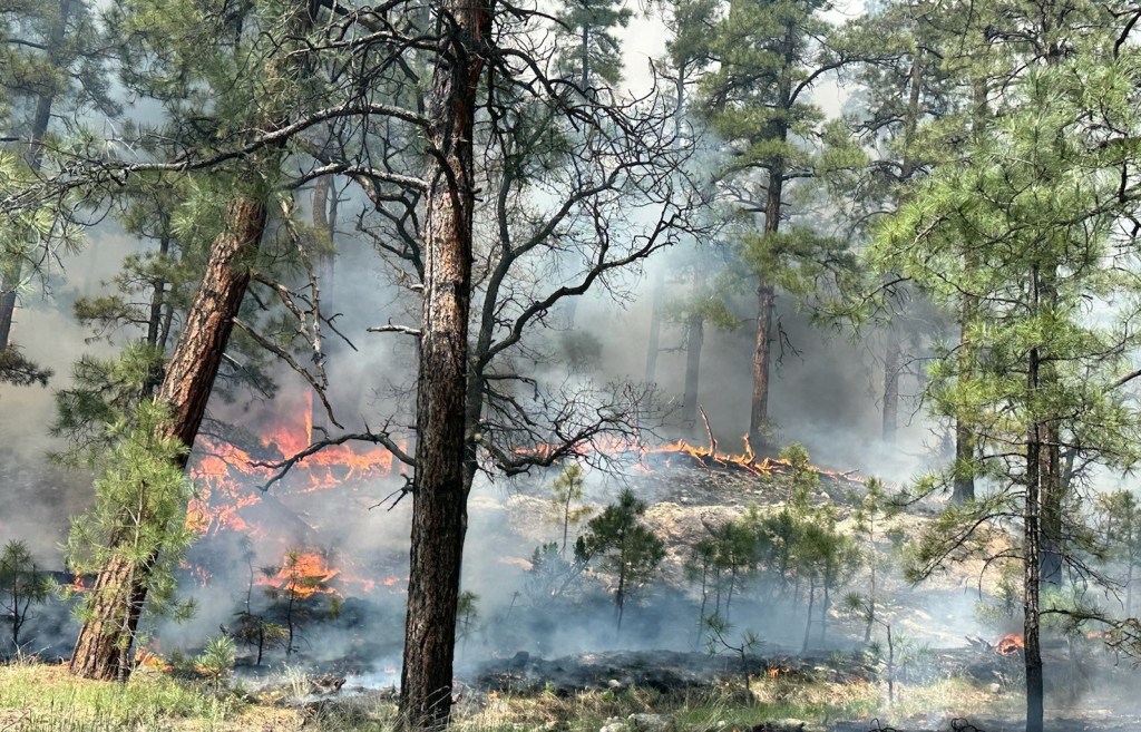 Photo of Magdalena Ranger District: Durfee Bolander Unit 8 Prescribed Fire burn operations on May 24, 2023