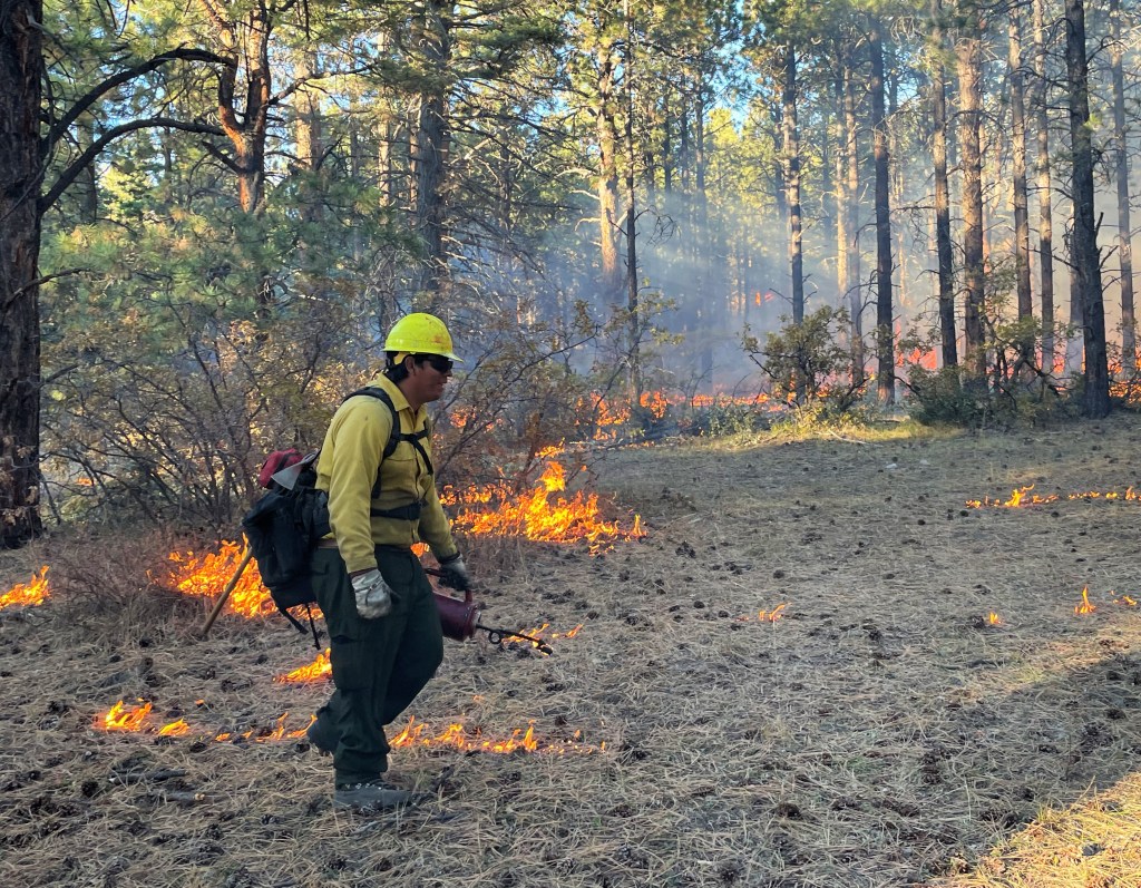 Photos courtesy of Forest Stewards Youth Corps:
FSYC crew member working on a prescribed fire.