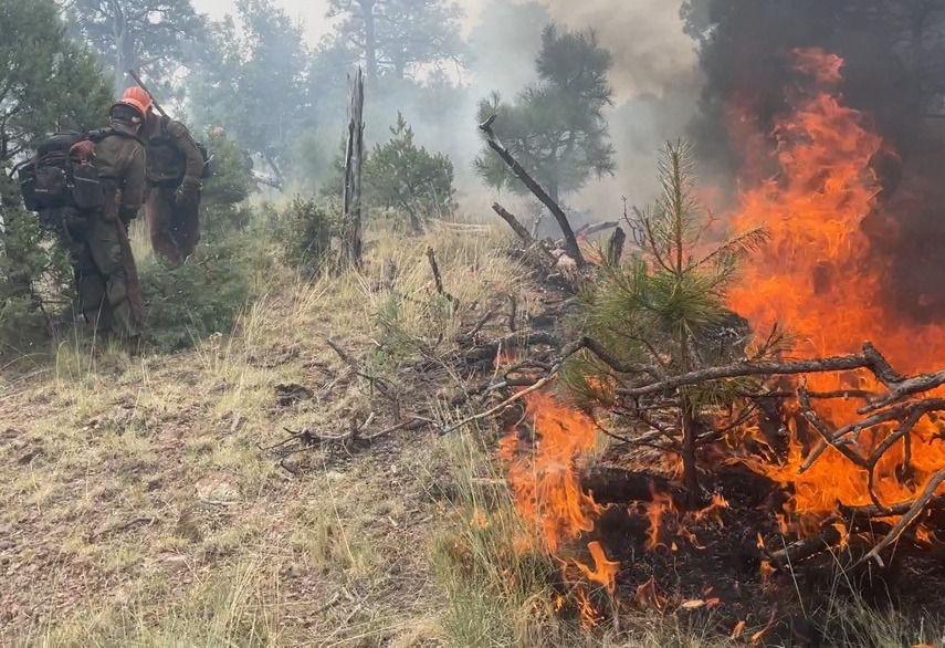 Photo showing members of the Idaho City Hot Shots working the Water Canyon Wildfire on the Magdalena Ranger District of the Cibola National Forest & National Grasslands - July 2023
