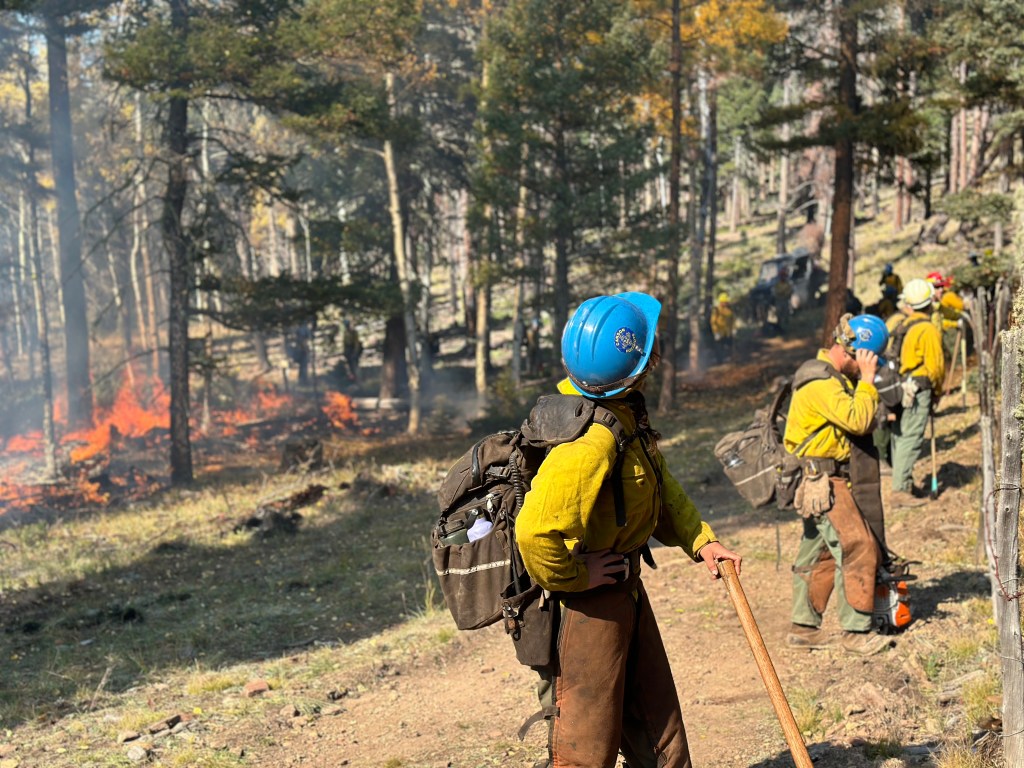 A line of fire crew members face out from a prescribed fire.
