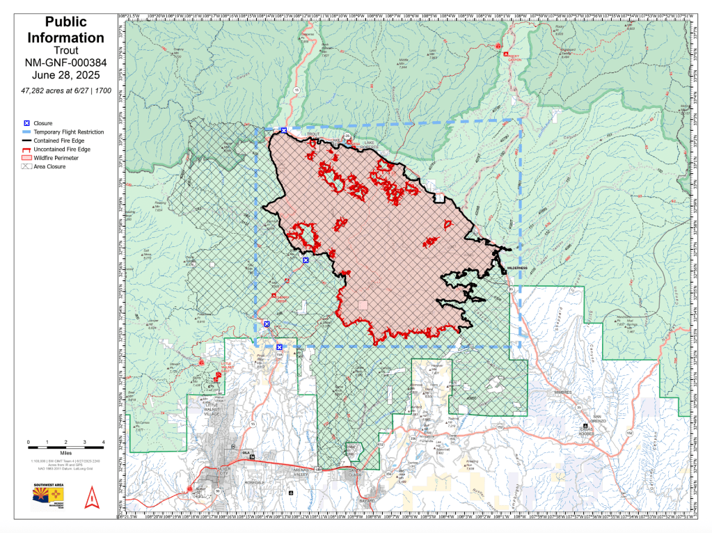 A red and black outlined irregular shape sits at the center of a mint green background in varying shades.