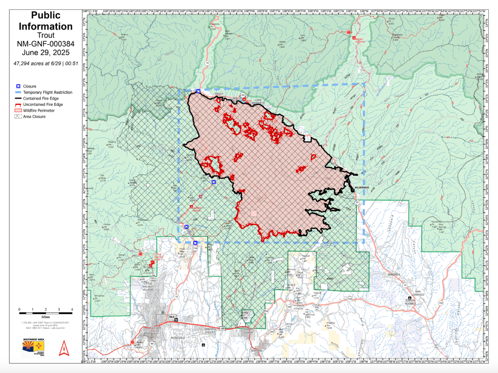 A red and black outlined irregular shape sits at the center of a mint green background in varying shades. 