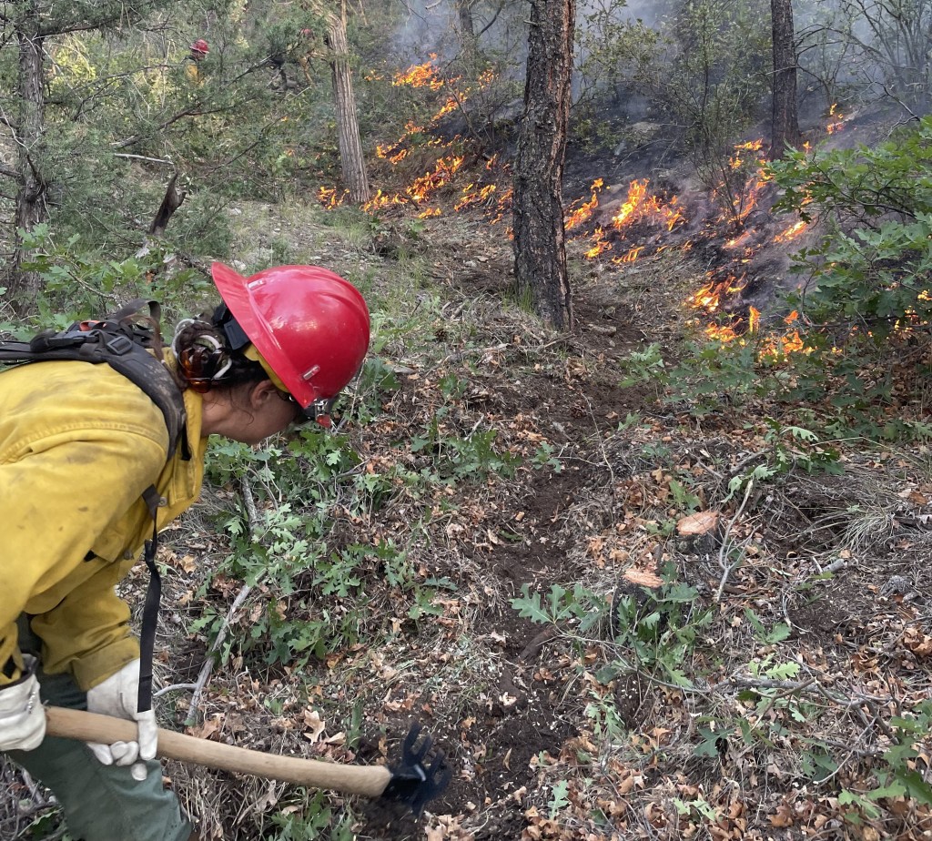 A crew member cuts line near the fire's edge in a pine forest.