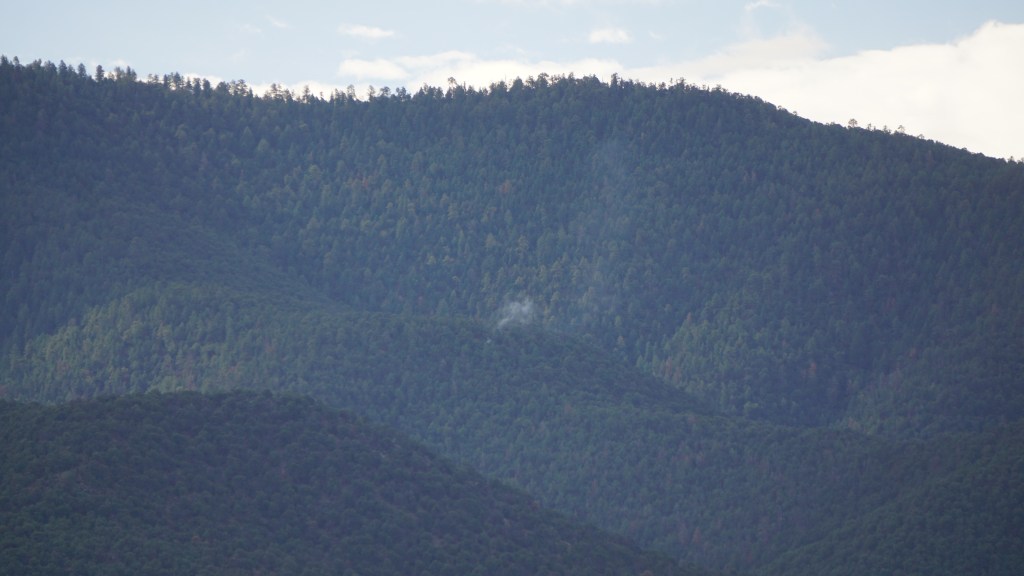 A small amount of white smoke rises from a forested mountainside.