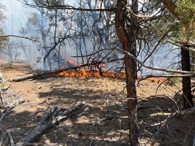 Crews Respond to Middle Mesa Fire on the Carson National Forest