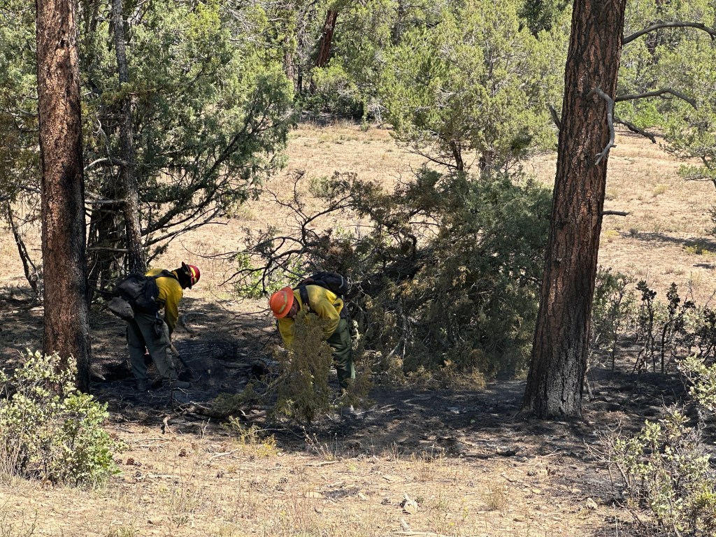 Firefighters work to put out hotspots in an area burnt by fire but still having unburnt vegetation.