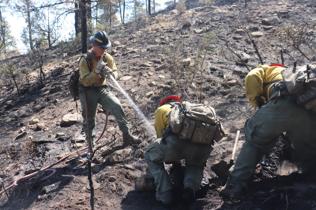 Three firefighters work to extinguish a smoke along a steep hillside.