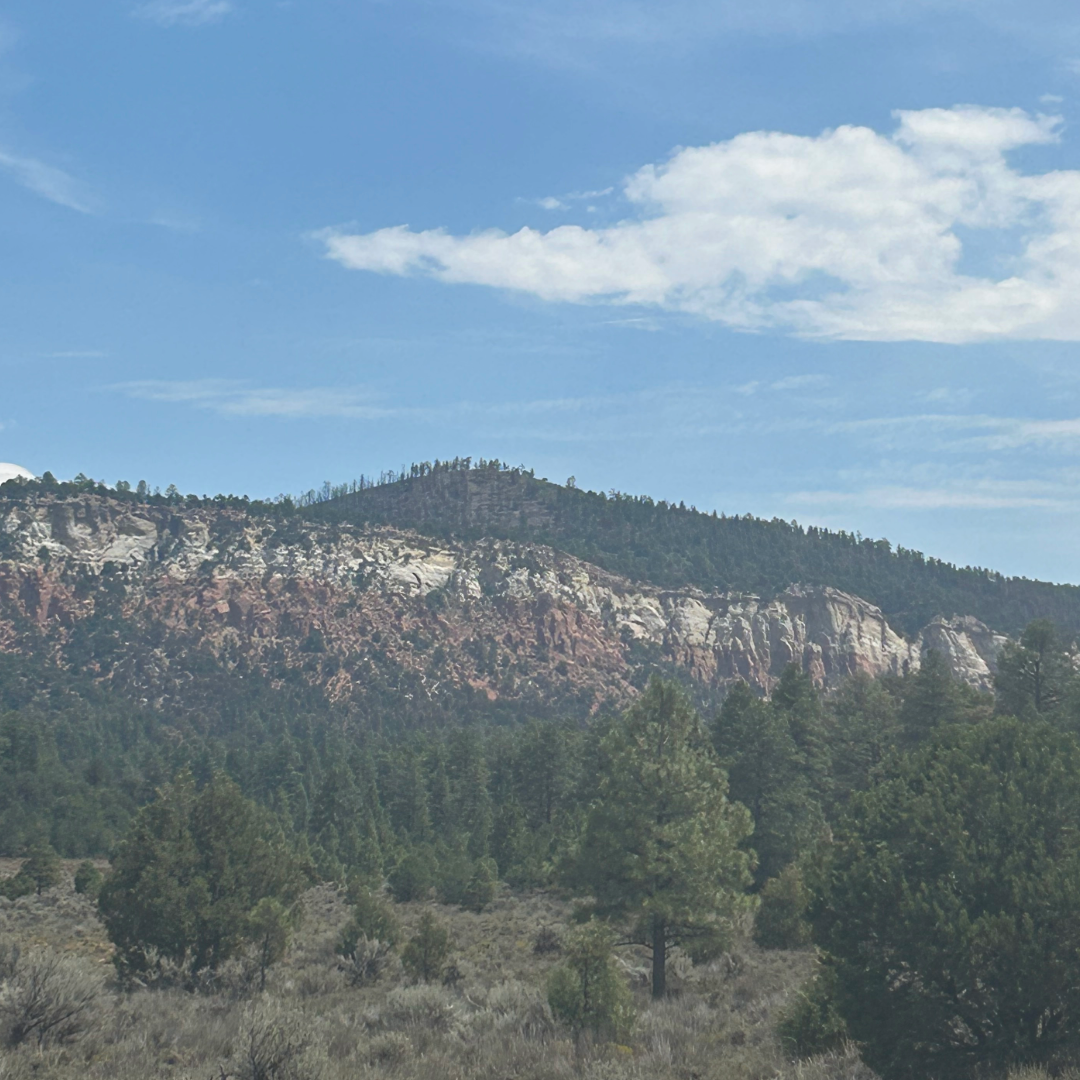 Picture of Laguna Peak