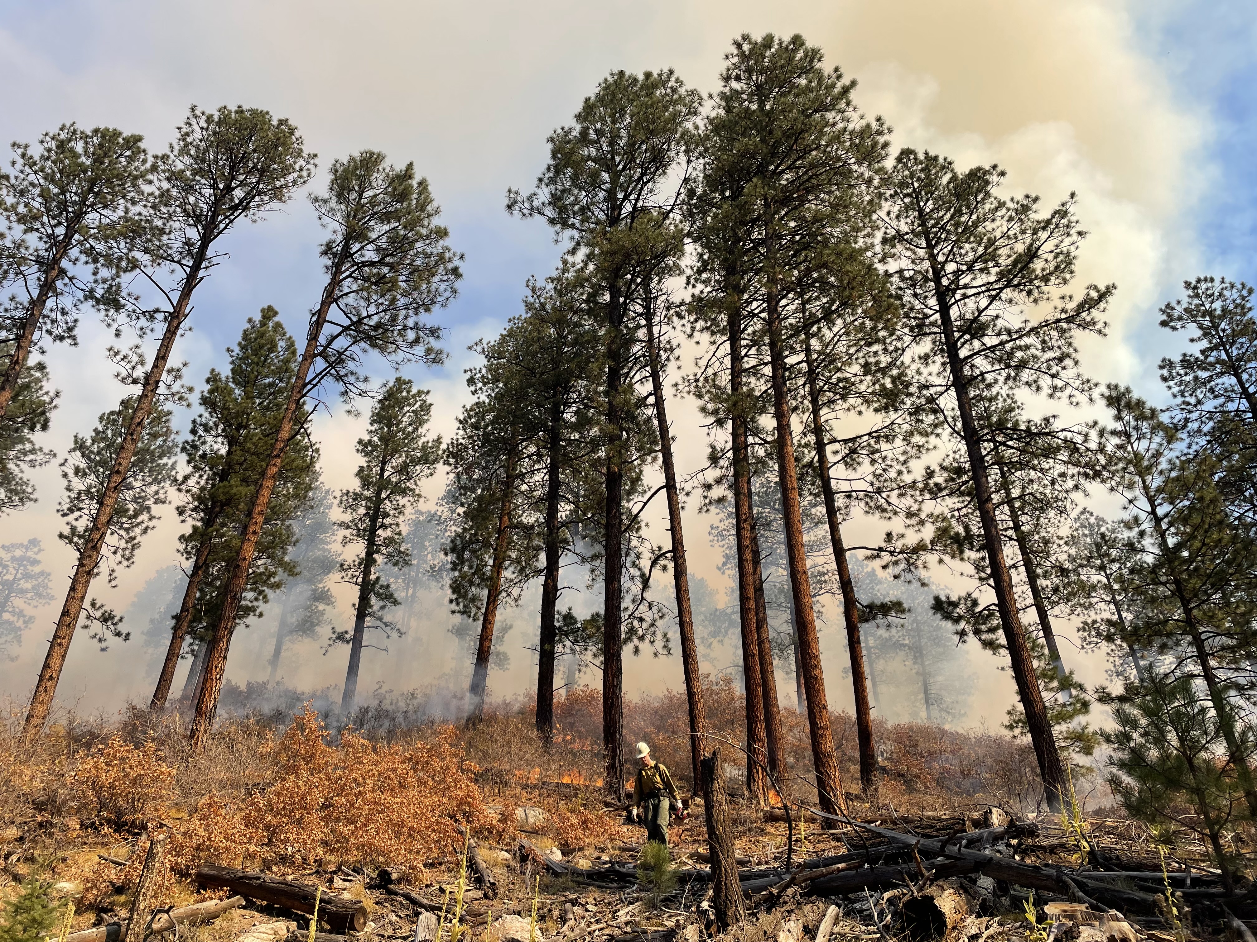 Borrego Campground RX