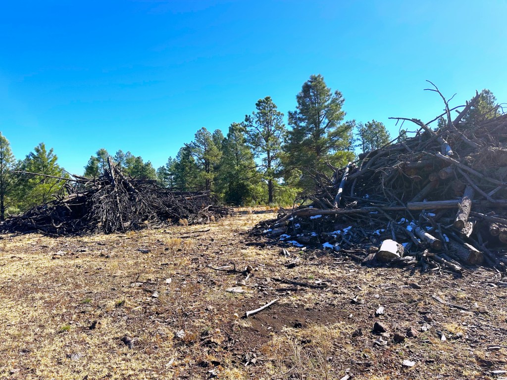 Example of piles ready for prescribed burns