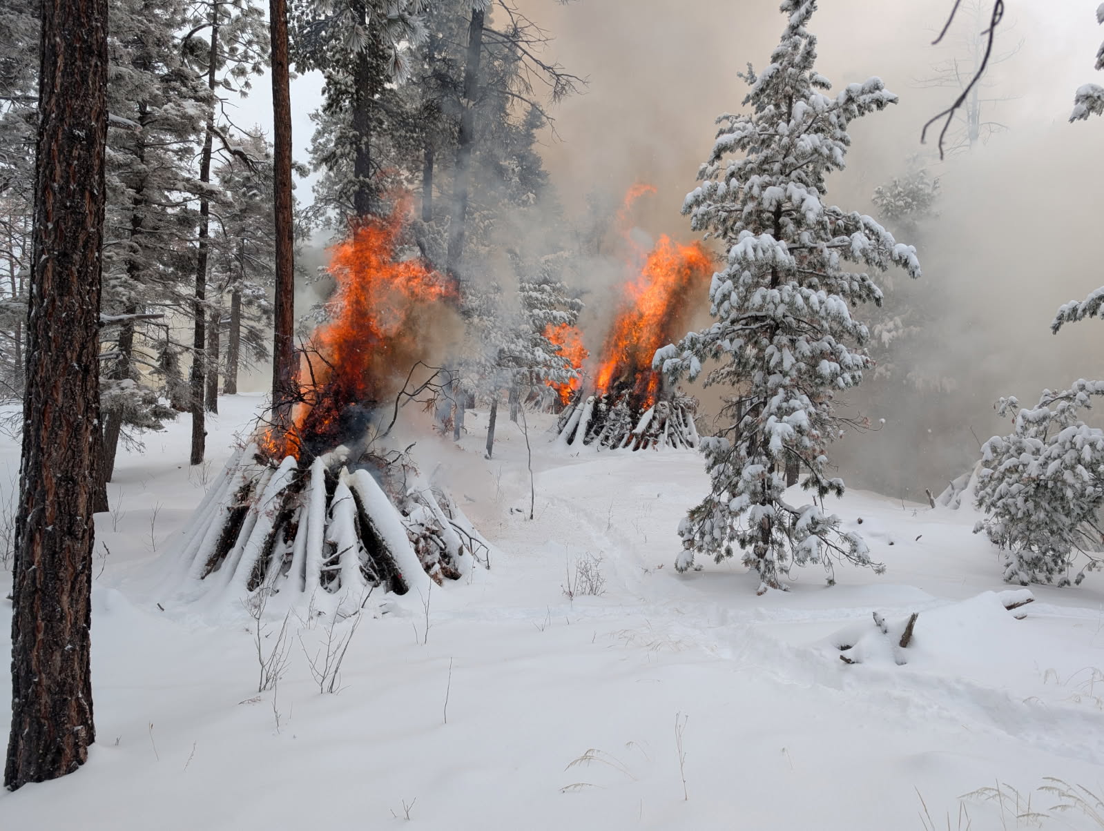Santa Fe National Forest Pile Burn Update
