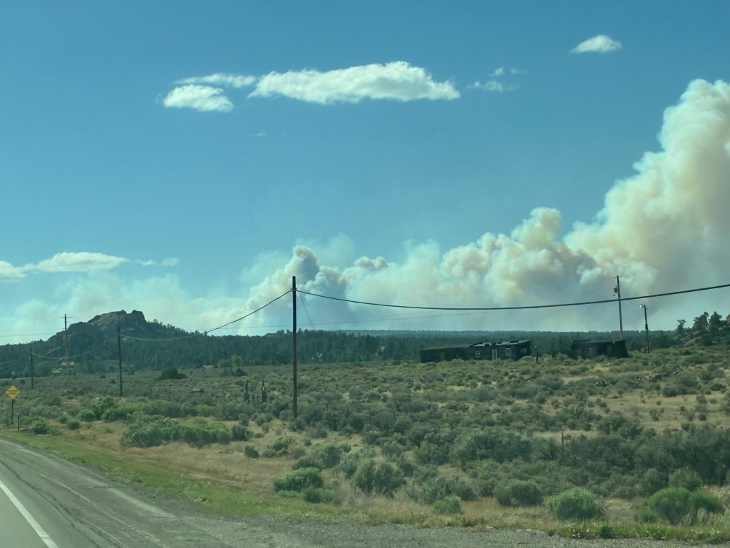 A large plume of white smoke rises from a forest.