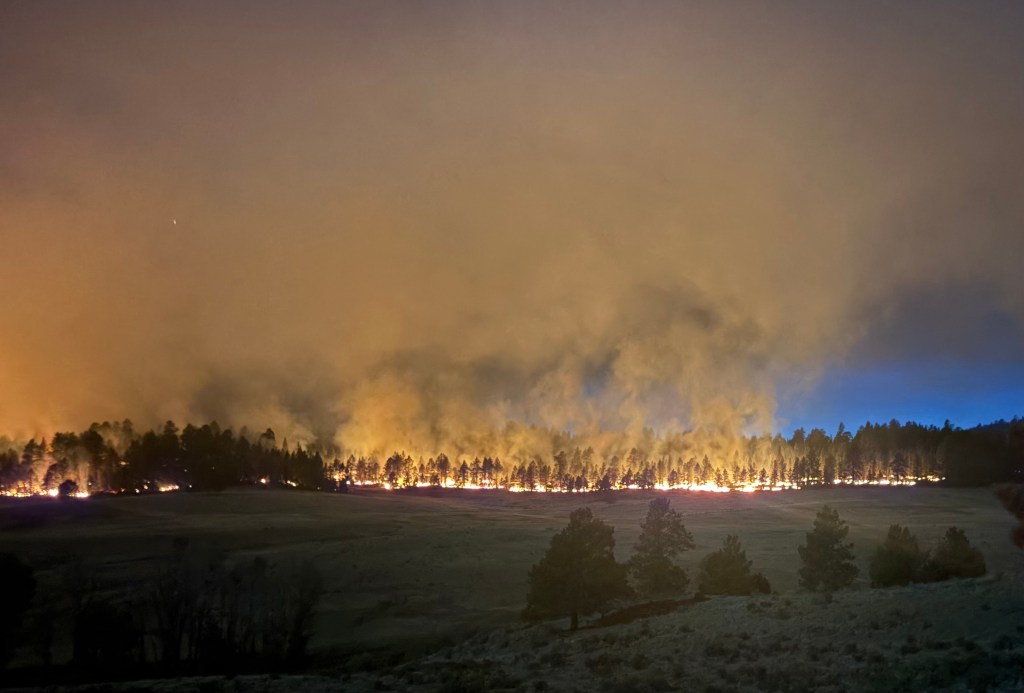 Fire burns in the understory of a forest at night.