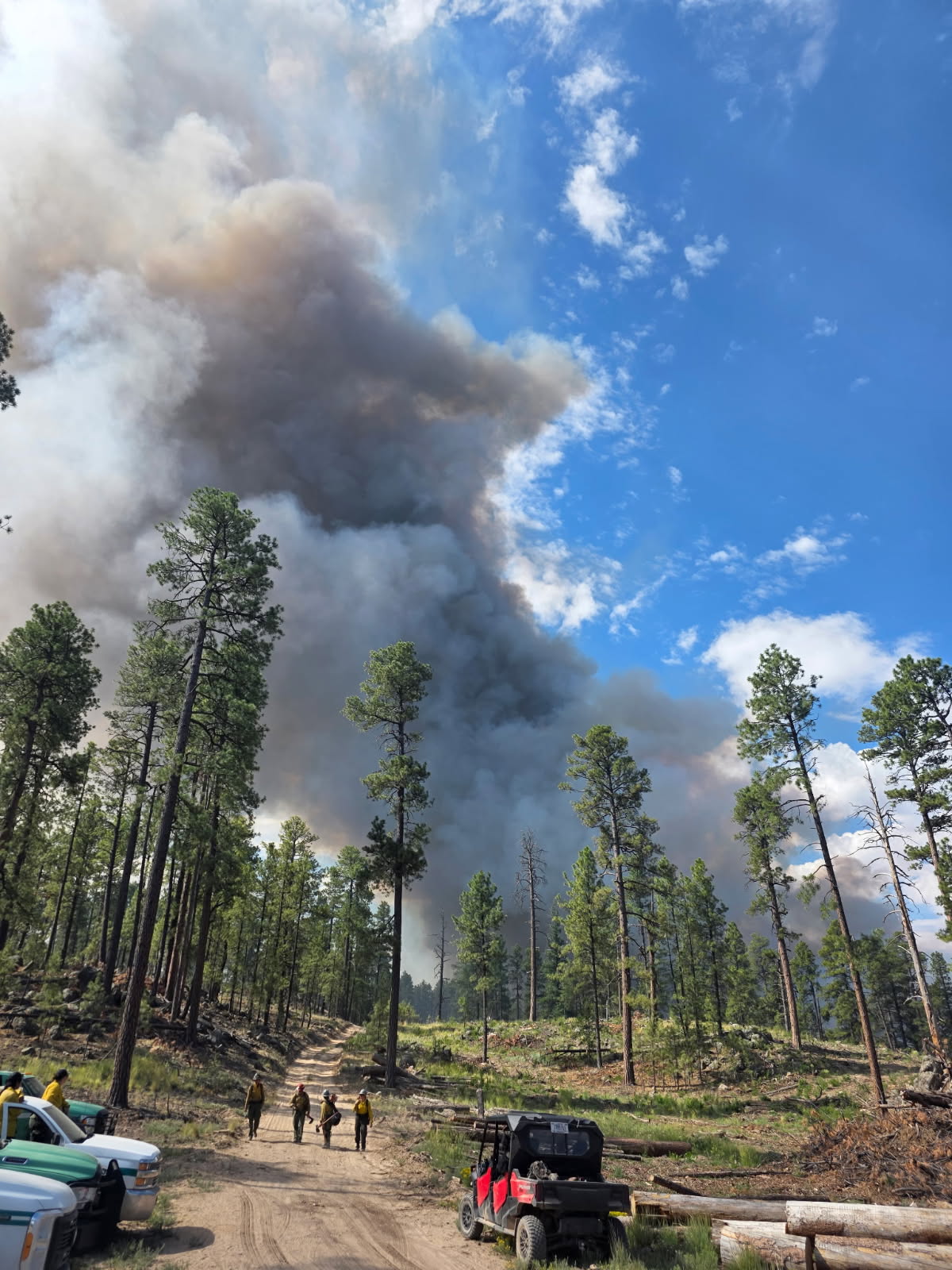 Firefighters on the McCauley Springs Fire