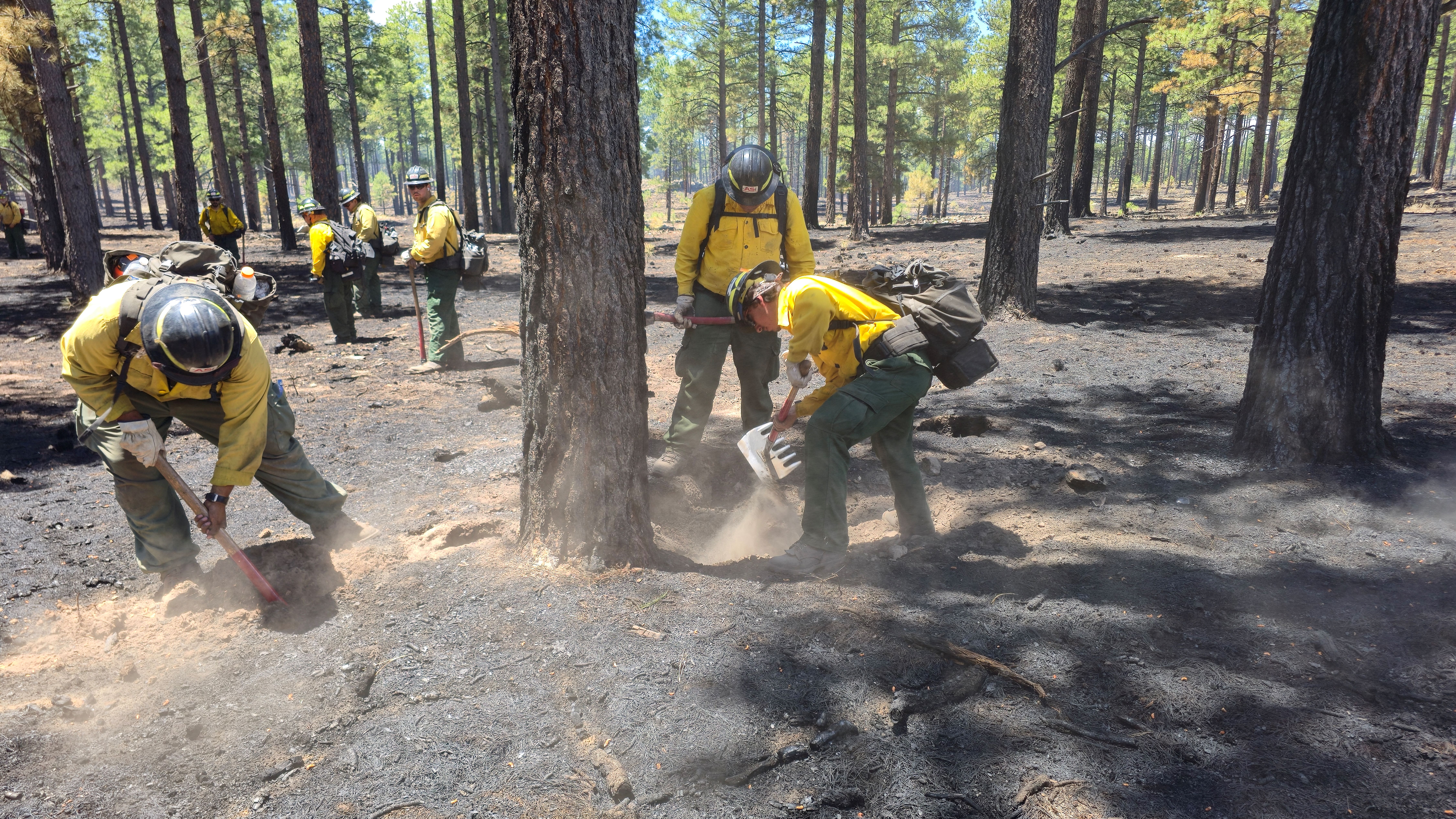 Firefighters mop-up by removing burning and extinguishing vegetation near containment lines.